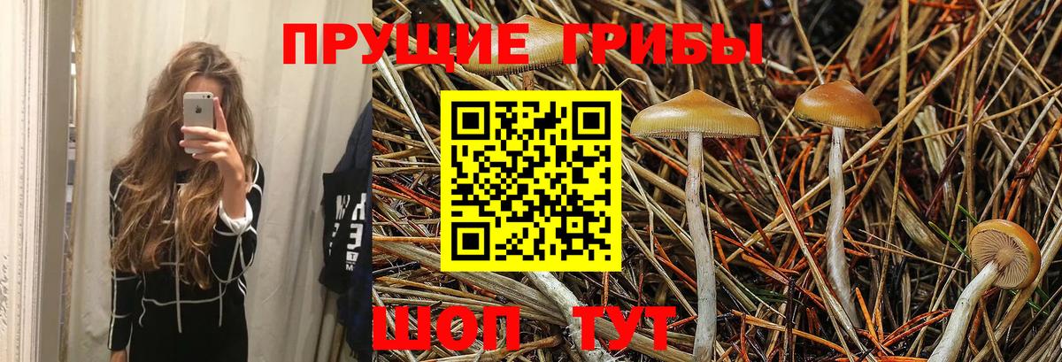 Галлюциногенные грибы MAGIC MUSHROOMS  Вход с VPN  Южно-Сахалинск  Галлюциногенные грибы прущие грибы 